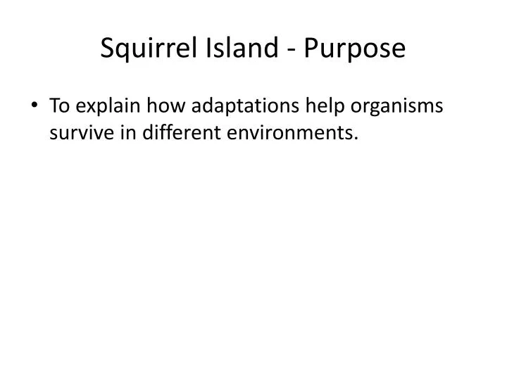 squirrel island purpose