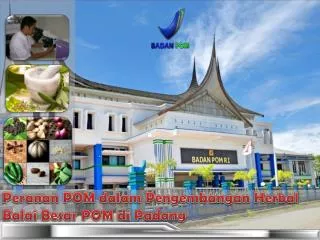 Peranan POM dalam Pengembangan Herbal Balai Besar POM di Padang