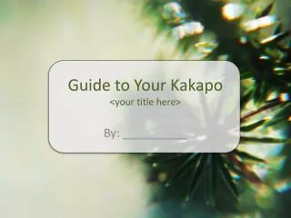 Guide to Your Kakapo &lt;your title here&gt;