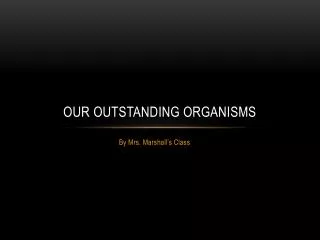 Our Outstanding Organisms