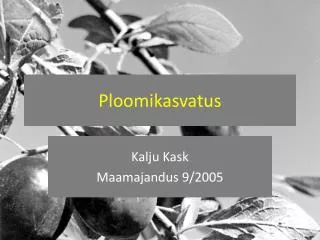 Ploomikasvatus