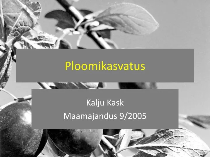 ploomikasvatus