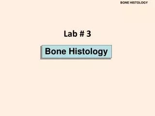 Bone H istology