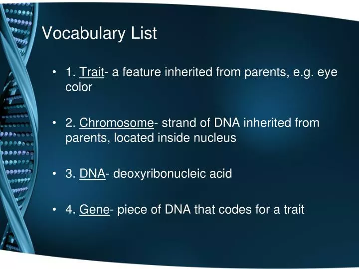 vocabulary list