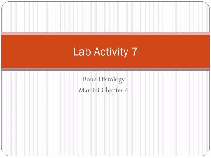 lab activity 7