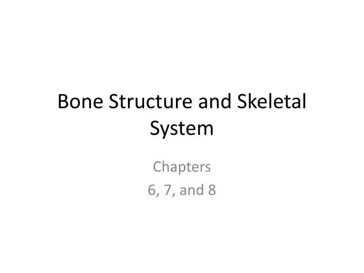 bone structure and skeletal system