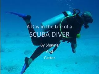 A Day in the Life of a SCUBA DIVER