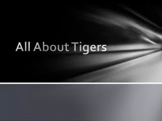 All About Tigers