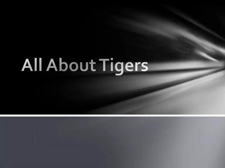 all about tigers