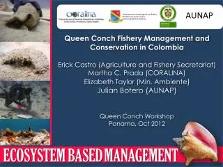 Queen Conch Fishery Management and Conservation in Colombia