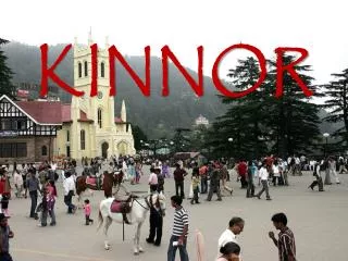 KINNOR