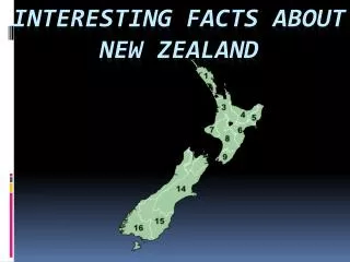 Interesting Facts about New Zealand