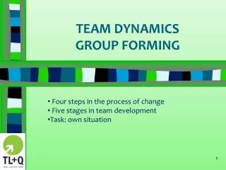 TEAM DYNAMICS GROUP FORMING