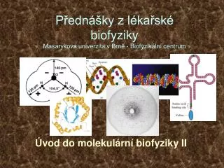 Přednášky z lékařské biofyziky Masarykova univerzita v Brně - Biofyzikální centrum