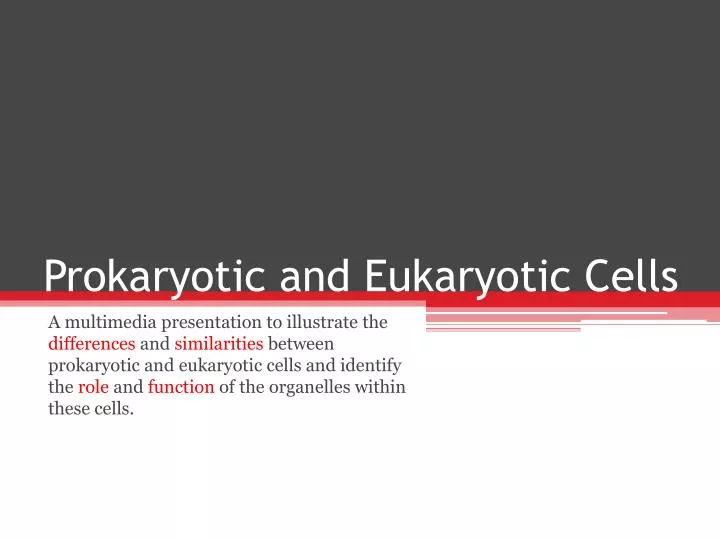prokaryotic and eukaryotic cells