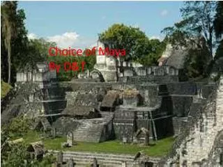Choice of Maya By D&amp;T