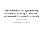 Joshua Selsby Iowa State University - slide 1