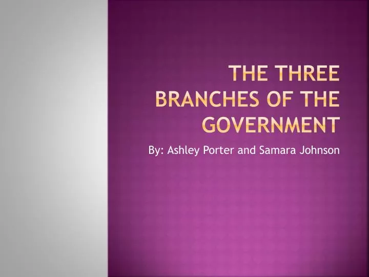 the three branches of the government