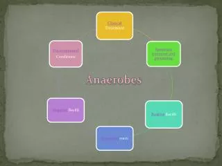 Anaerobes