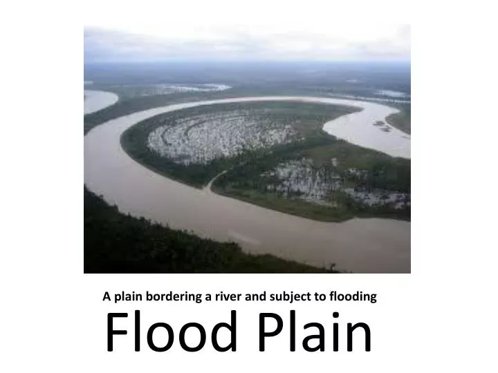 a plain bordering a river and subject to flooding
