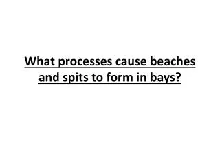 What processes cause beaches and spits to form in bays ?