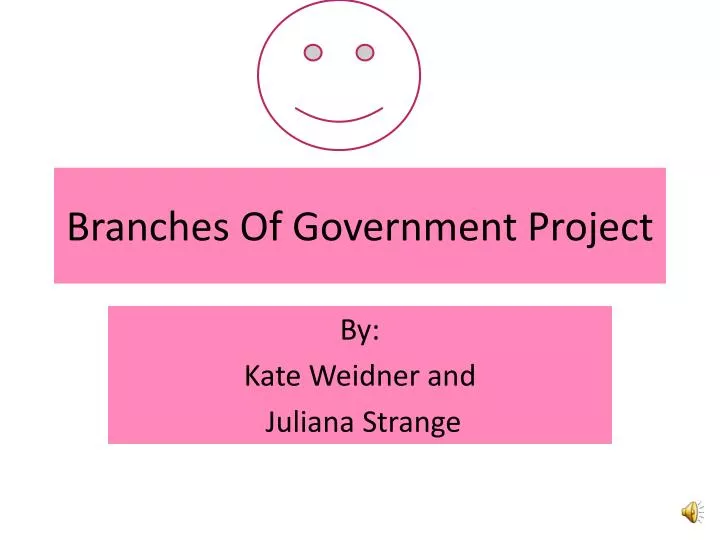 branches of government project