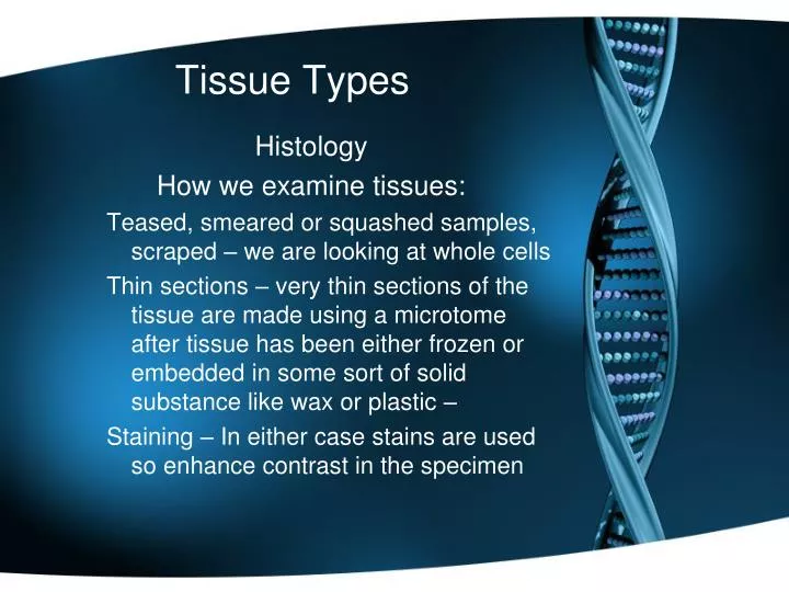 tissue types