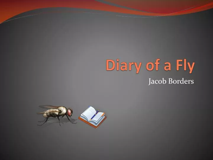 diary of a fly