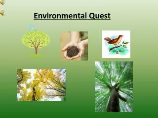 Environmental Quest