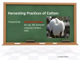Harvesting Practices of Cotton: