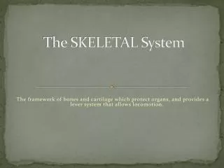 The SKELETAL System