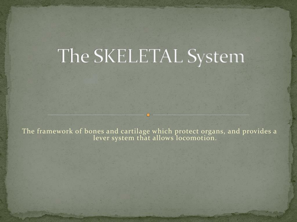PPT - The SKELETAL System PowerPoint Presentation, free download - ID ...