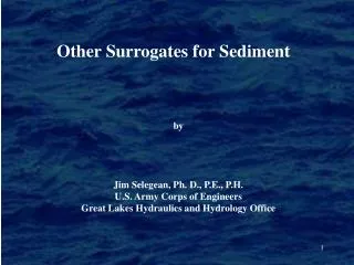 Other Surrogates for Sediment