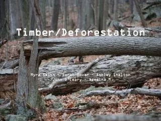 Timber/Deforestation