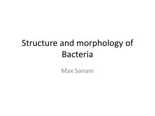 Structure and morphology of B acteria