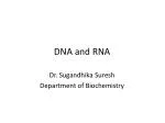 DNA and RNA - slide 1