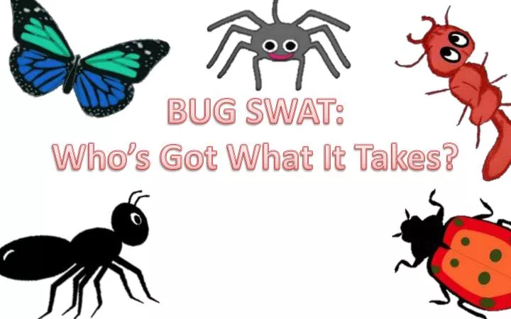 bug swat who s got what it takes