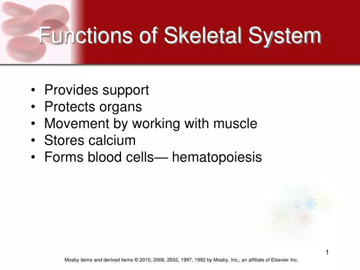 functions of skeletal system