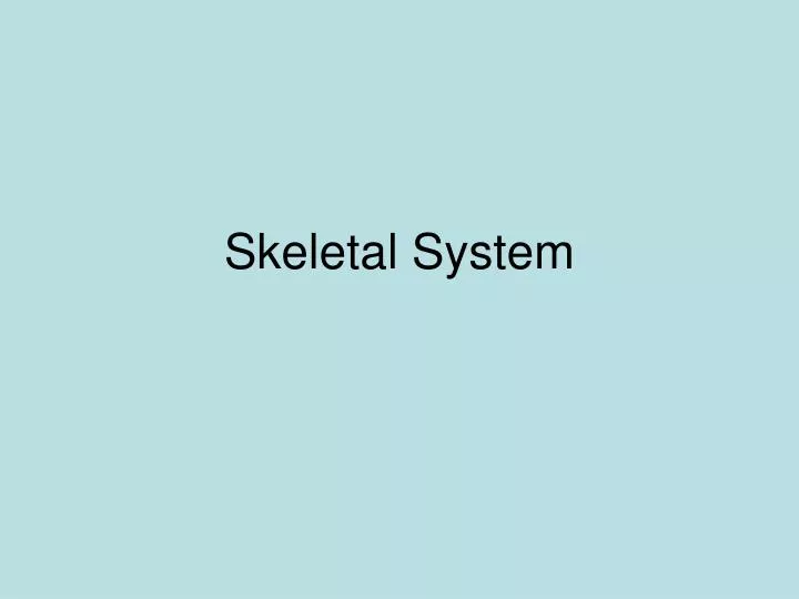 skeletal system