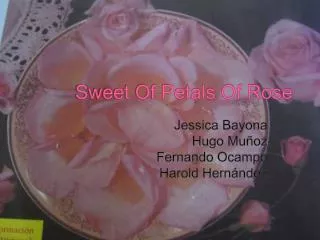 Sweet Of Petals Of Rose