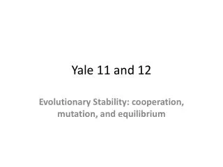 Yale 11 and 12