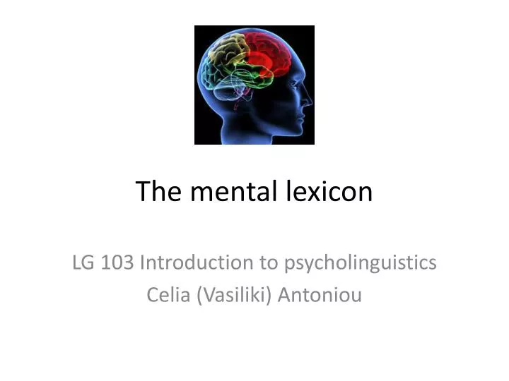 the mental lexicon