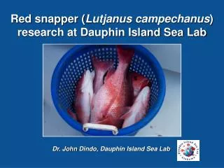 Dr. John Dindo , Dauphin Island Sea Lab