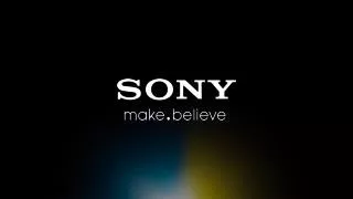 Sony Professional Services Division