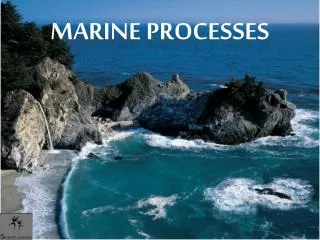 Marine Processes