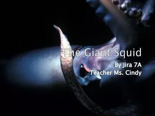 The Giant Squid