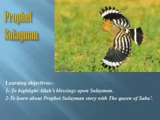 Prophet Sulayman