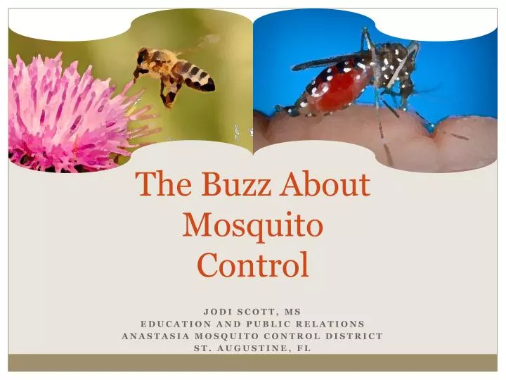 the buzz about mosquito control