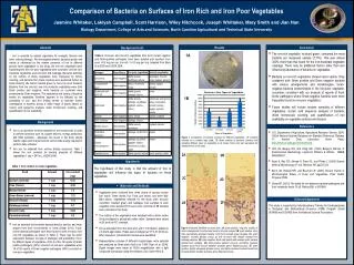 Comparison of Bacteria on Surfaces of Iron Rich and Iron Poor Vegetables