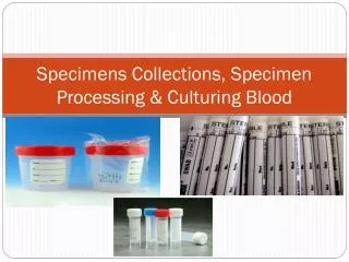 Specimens Collections, Specimen Processing &amp; Culturing Blood